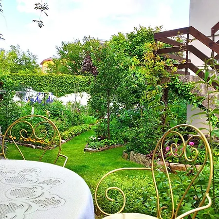 Anka Villa Władysławowo