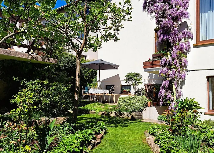 فيلة Anka Władysławowo