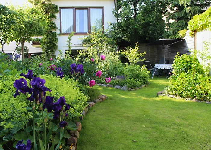 فيلة Anka Władysławowo